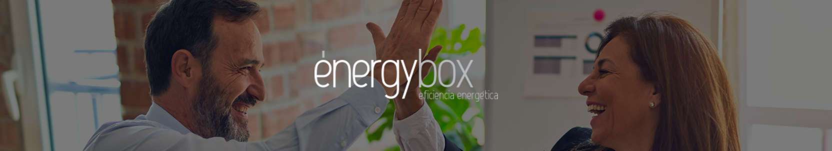 Gestores energéticos